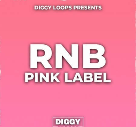 HOOKSHOW RnB Pink Label WAV